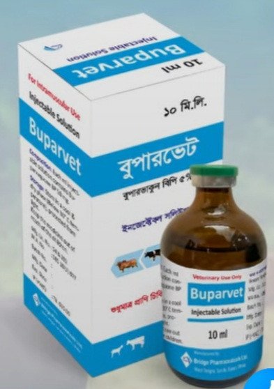 BUPER VET- INJECTABLE (10ML)